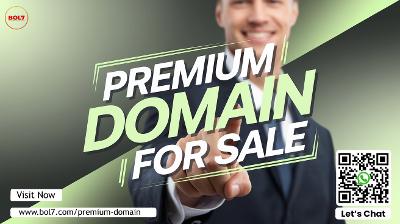 Aged Premium Domains for Established Success